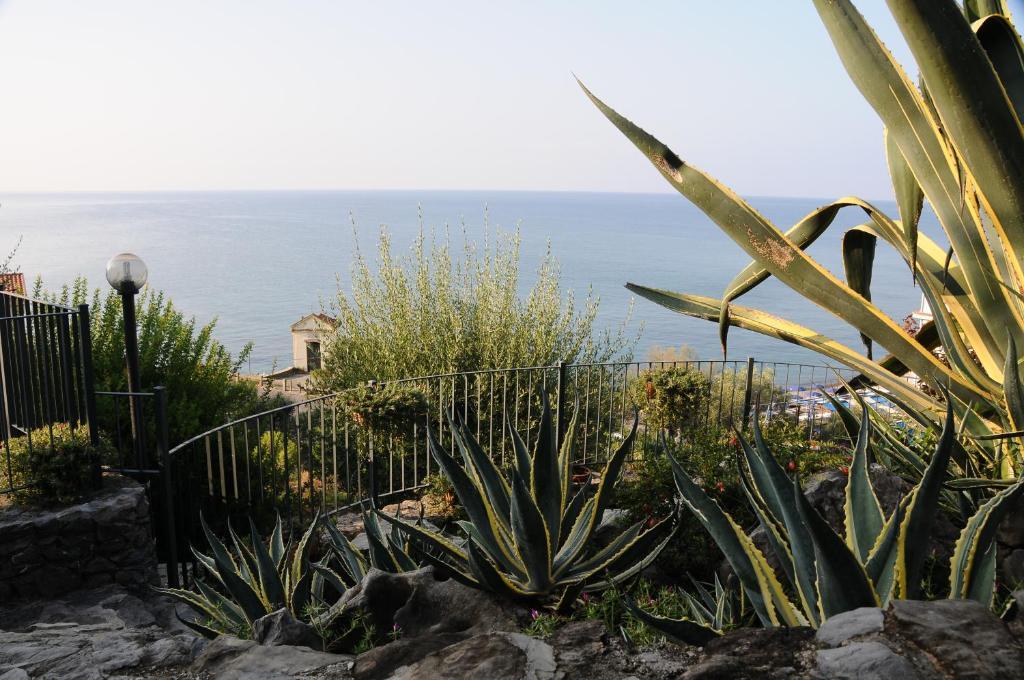 Residence La Cycas Villammare Dış mekan fotoğraf